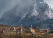 雷火电竞下载-跨界火力全开！新疆队惊艳表演赛压制凯尔特人，欧文关键先生本色再现