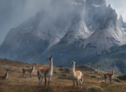 雷火电竞下载-跨界火力全开！新疆队惊艳表演赛压制凯尔特人，欧文关键先生本色再现