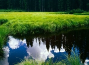 雷火电竞亚洲先驱-喀麦隆神锋的史诗，当圣西罗的梦照进抢七的战场
