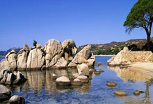 雷火电竞下载-泰国队碾压马来西亚队，安赛龙关键制胜