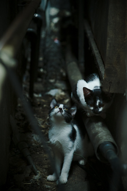 末节风暴与加冕时刻，当红牛冲破藩篱，新王接管国家德比