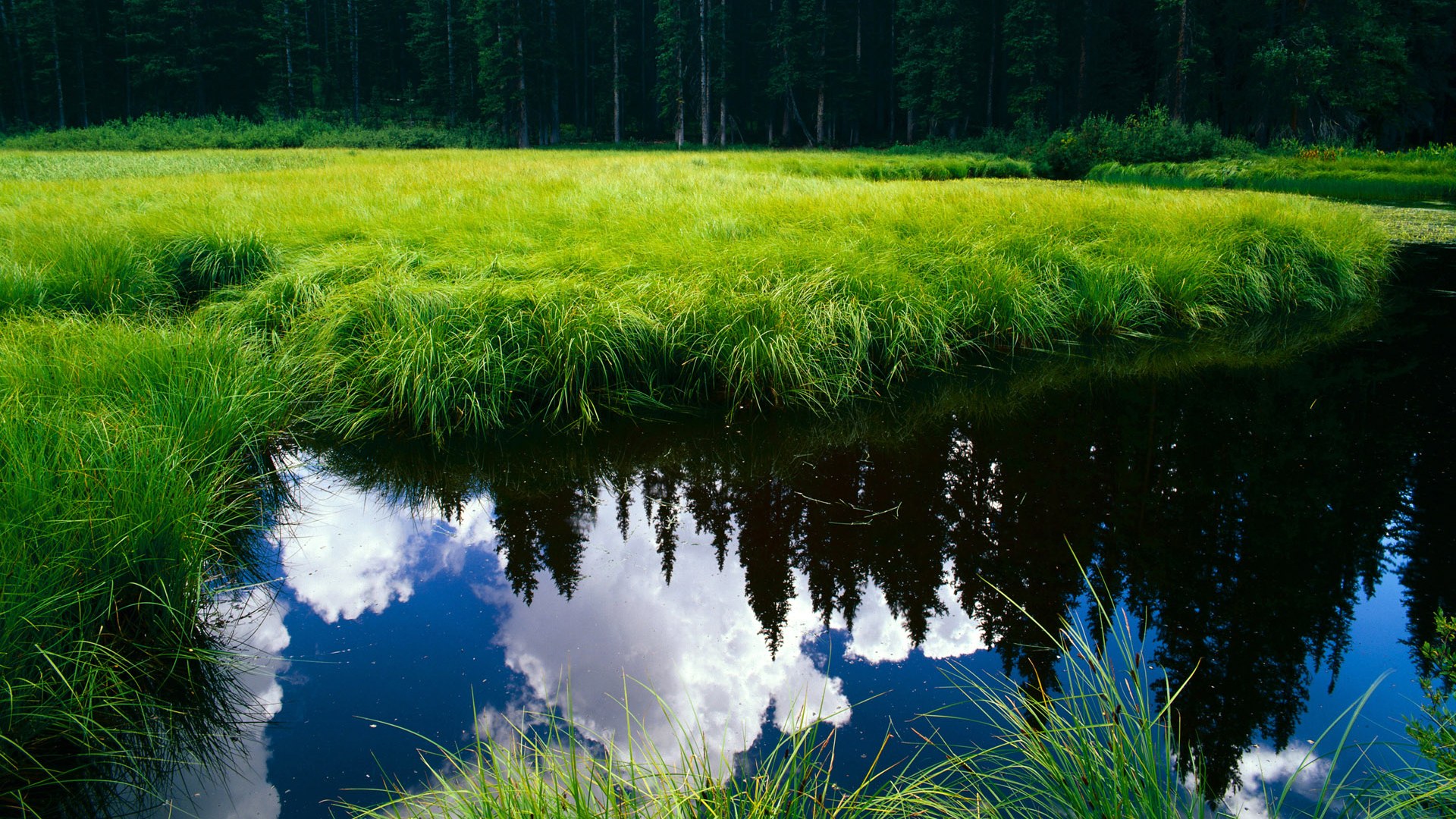 喀麦隆神锋的史诗，当圣西罗的梦照进抢七的战场